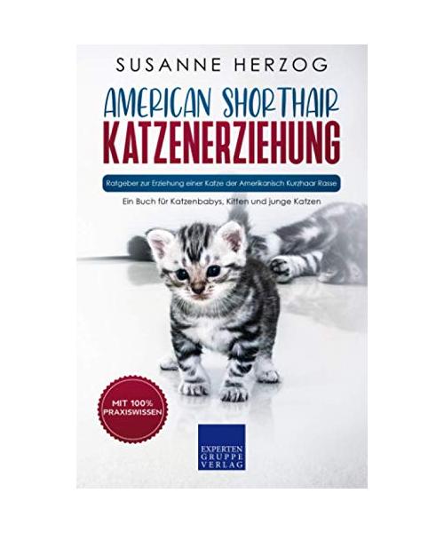 American Shorthair Katzenerziehung - Ratgeber zur Erziehung einer Katze der Amerikanisch Kurzhaar Rasse: Ein Buch für Katzenbabys, Kitten und junge Katzen