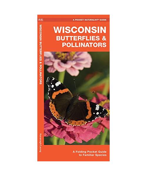 Wisconsin Butterflies & Pollinators: A Folding Pocket Guide to Familiar Species