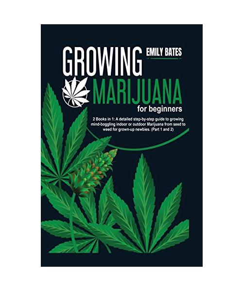 Growing Marijuana for beginners