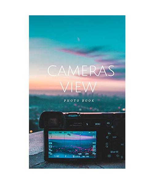 Cameras View