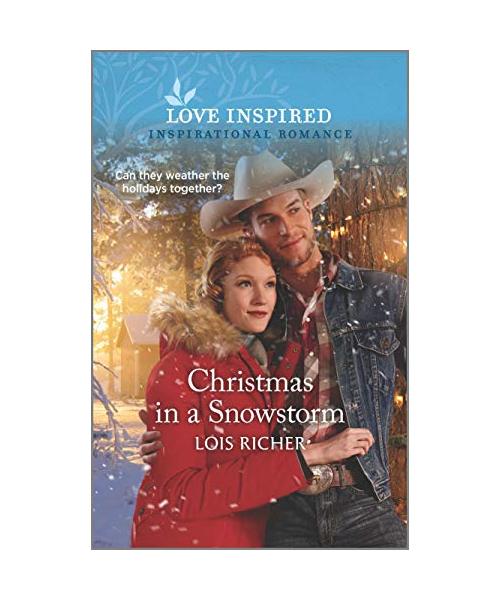 Christmas in a Snowstorm