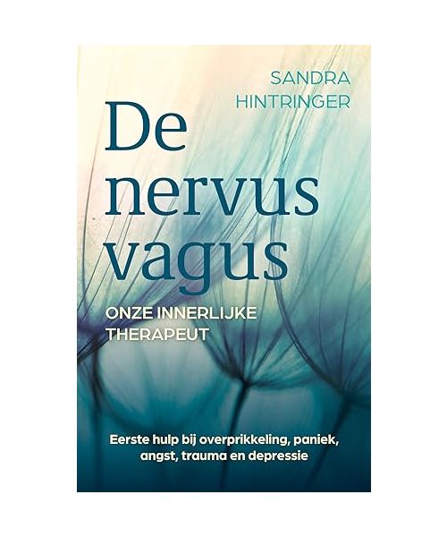 De nervus vagus: onze innerlijke therapeut : eerste hulp bij overprikkeling, paniek, angst, trauma en depressie