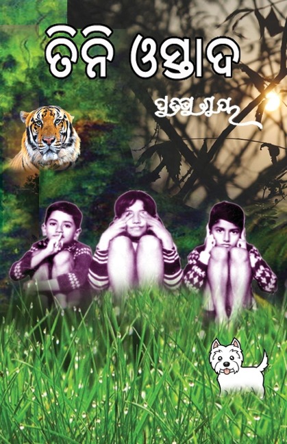 Tini Ostad