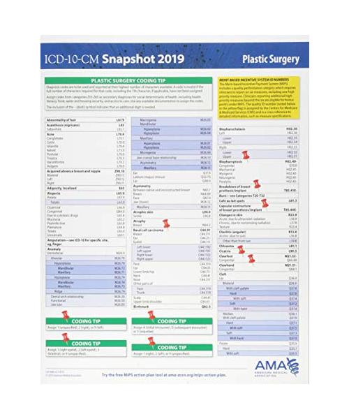 ICD-10-CM 2019 Snapshot Coding Card: Plastic Surgery