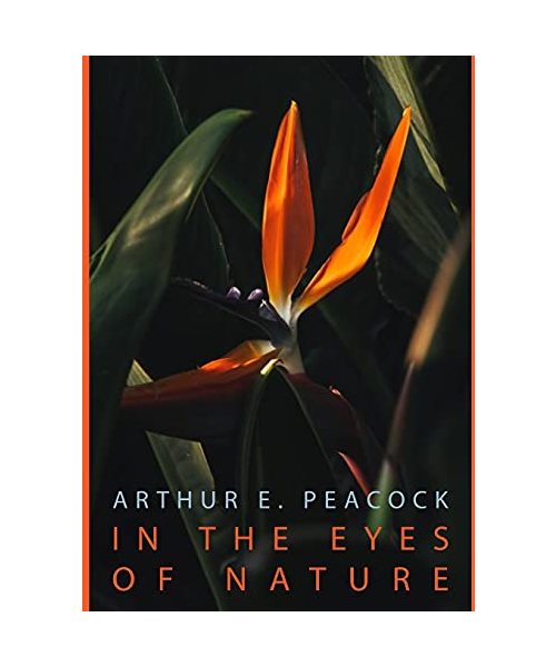 In the Eyes of Nature: This Book Brings You Throug a Journey of Beautiful Landscapes and Animals That the Author Found in His Many Trips