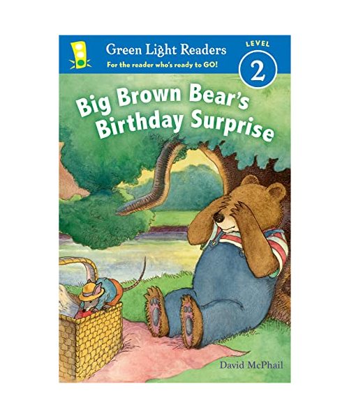 Big Brown Bear's Birthday Surprise