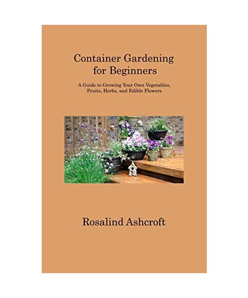 Container Gardening for Beginners