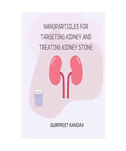 Nanoparticles for Targeting Kidney and Treating Kidney Stone