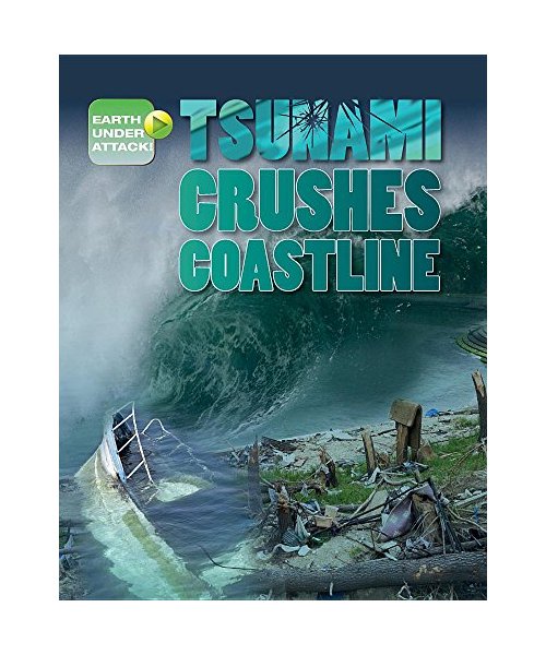 Tsunami Crushes Coastline