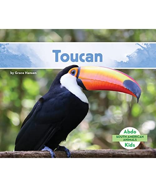 Toucan