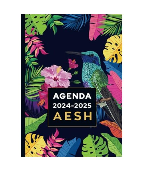 Agenda de bord 2024/2025 - AESH: Carnet de bord et carnet de notes A4