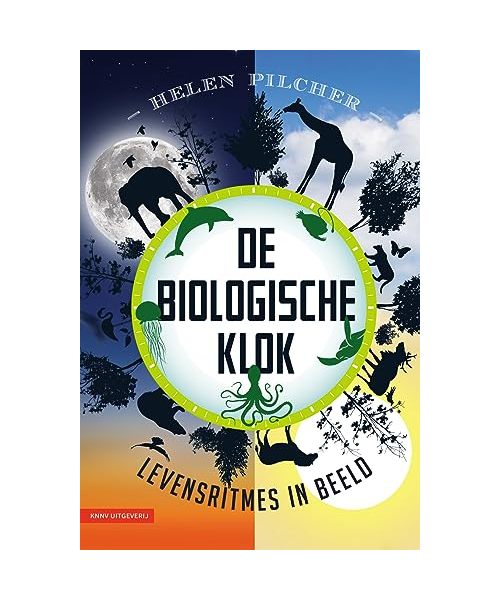 De biologische klok: levensritmes in beeld