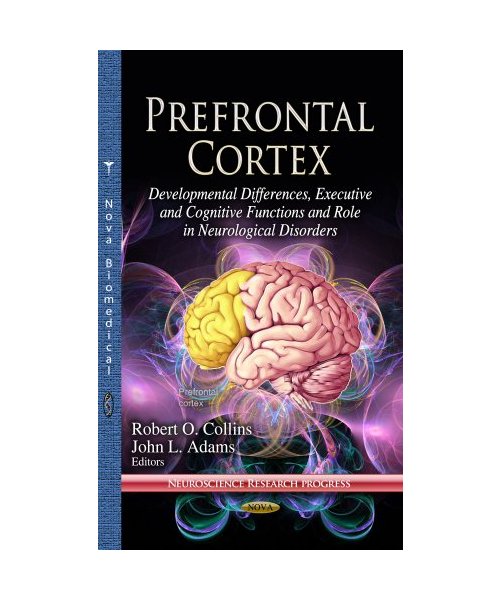 Prefrontal Cortex