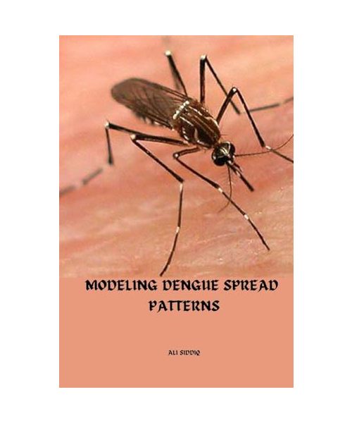 Modeling Dengue spread patterns