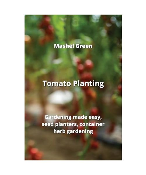 Tomato Planting