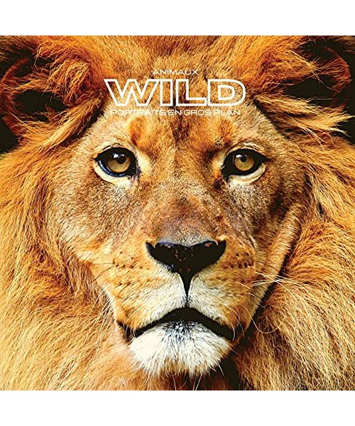 Animaux WILD Portraits en Gros Plan: Album photo couleur. Idée de cadeau pour les amoureux des animaux et de la nature. Livre de photos avec des gros ... sauvages, libres dans leur habitat naturel.