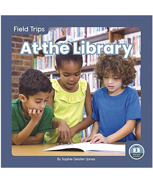 At the Library