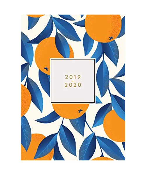2019 2020: Agenda 2019-2020 semana vista | Julio 2019 a Diciembre 2020 | Agenda semanal y mensual | diseño hojas de naranjo