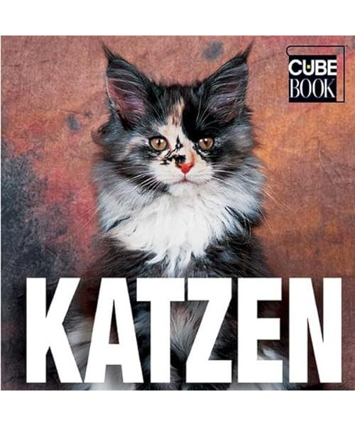 Katzen