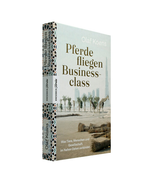 Pferde fliegen Businessclass