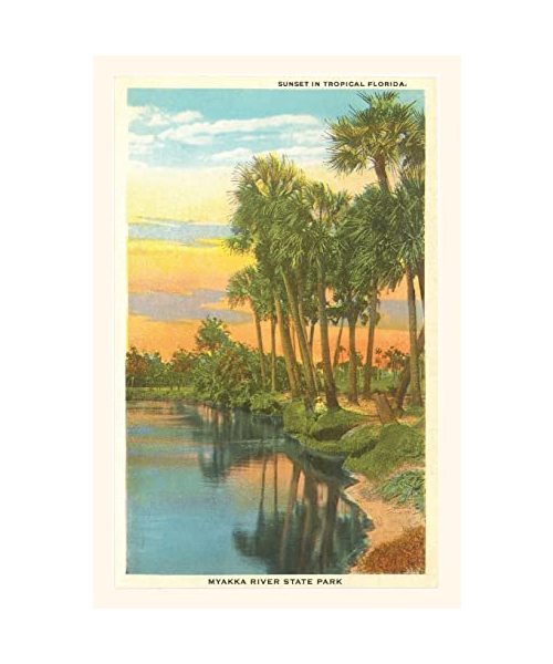 Vintage Journal Sunset in Tropical Florida, Myakka River State Park