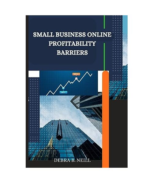 Small business online profitability barriers