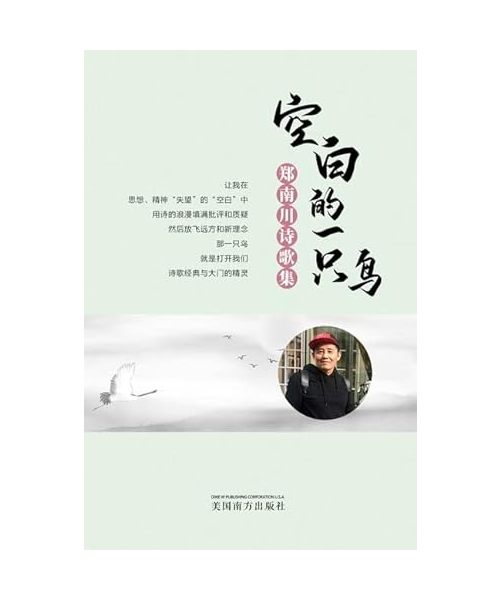 ???????A Blank Bird, Chinese Edition?: ??????