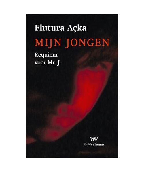 Mijn jongen: Requiem voor Mr. J.