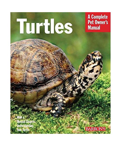 Turtles: Everything about Purchase, Care, and Nutrition