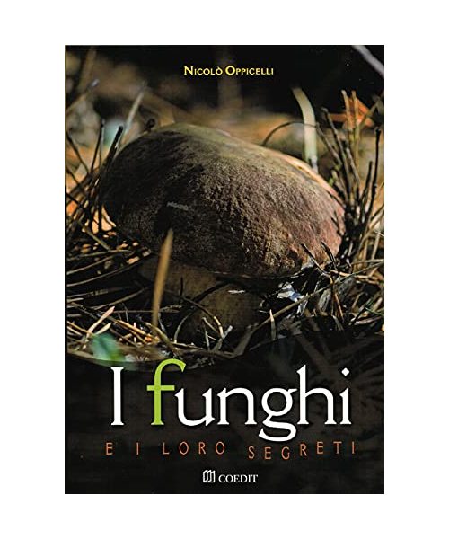 I funghi e i loro segreti. Riconoscerli, trovarli, gustarli...