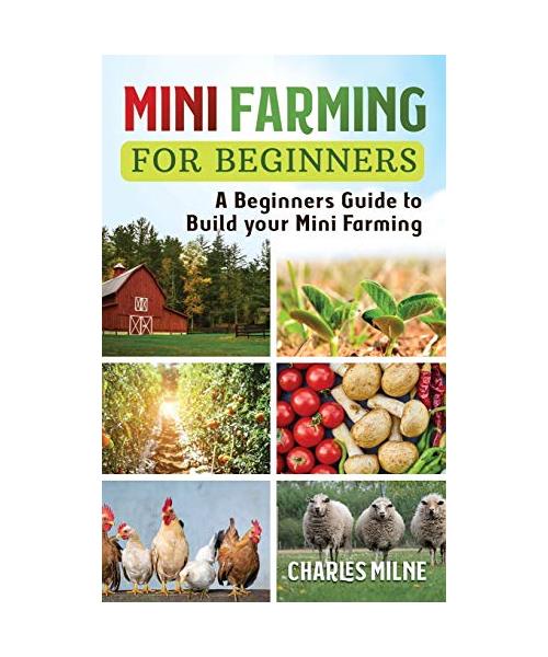 Mini Farming for Beginners