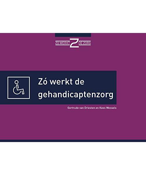 Zó werkt de gehandicaptenzorg