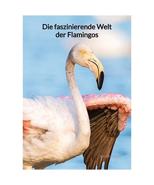 Die faszinierende Welt der Flamingos