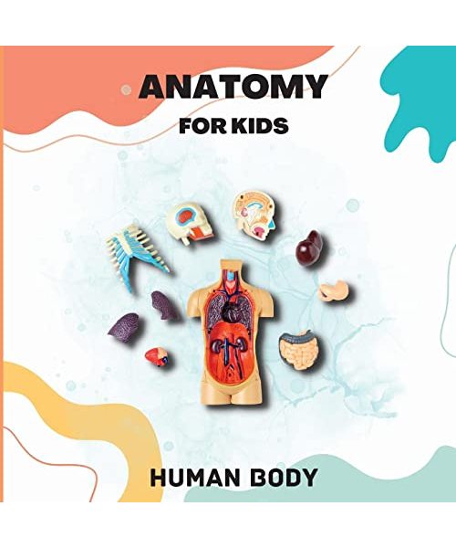Human Body Anatomy for Kids: An Introduction to the Human Body for Kids Aged 5 and up/ Human Anatomy Made Easy for Kids (Science Book for Kids)