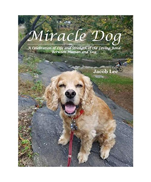 Miracle Dog