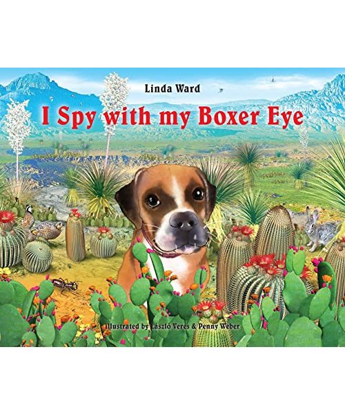I Spy With My Boxer Eye