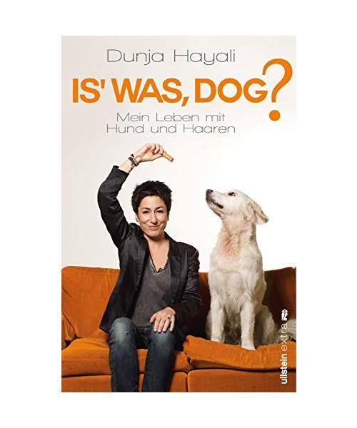 Is was, Dog?