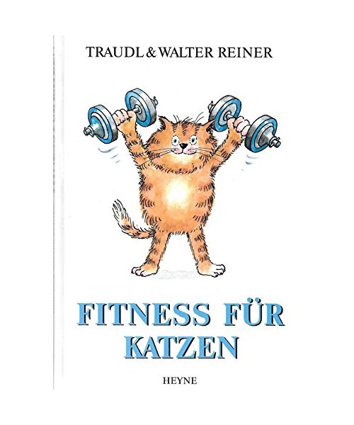 Fitness für Katzen