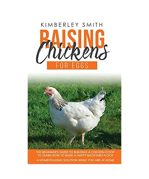 RAISING CHICKENS FOR  EGGS