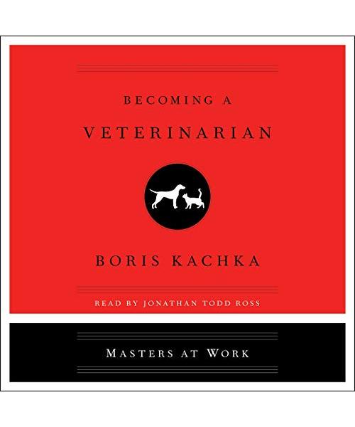 Becoming a Veterinarian (The Masters at Work)