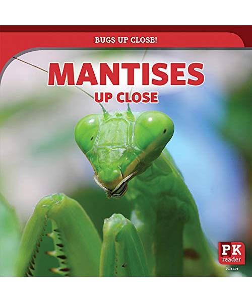 Mantises Up Close (Bugs Up Close!)