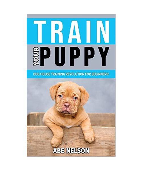 Train Your Puppy: Dog House Training Revolution for Beginners! Behavior Dog Training Steps to Raise a Perfect Puppy House - Positive Rei