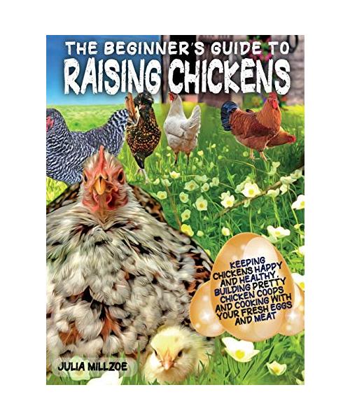 The Beginner's Guide to Raising Chickens