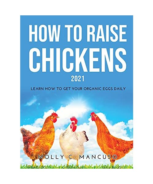 How to Raise Chickens 2021: Learn How to Get Your Organic Eggs Daily