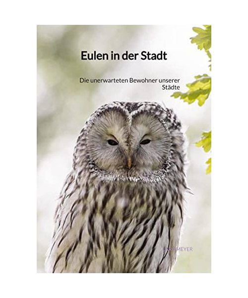 Eulen in der Stadt