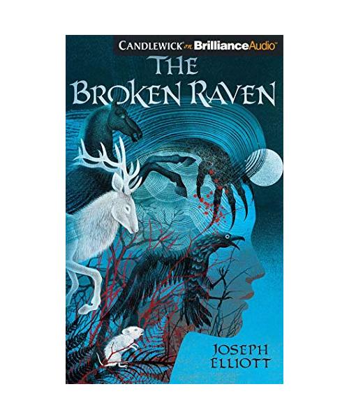 The Broken Raven (Shadow Skye, Band 2)