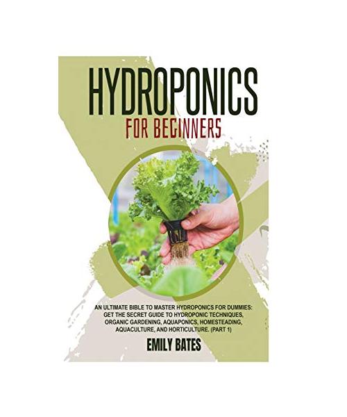 Hydroponics for Beginners