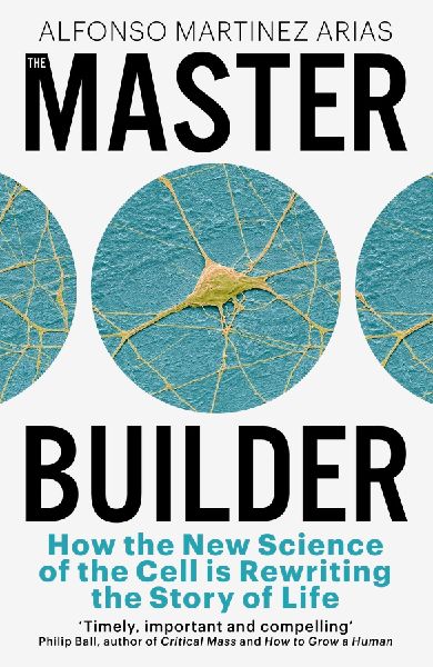 The Master Builder