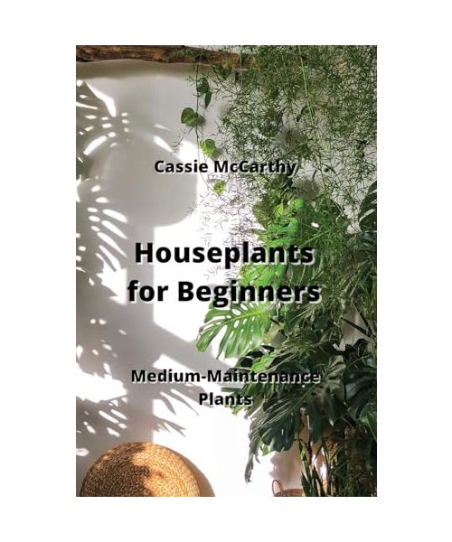 Houseplants for Beginners: Medium-Maintenance Plants