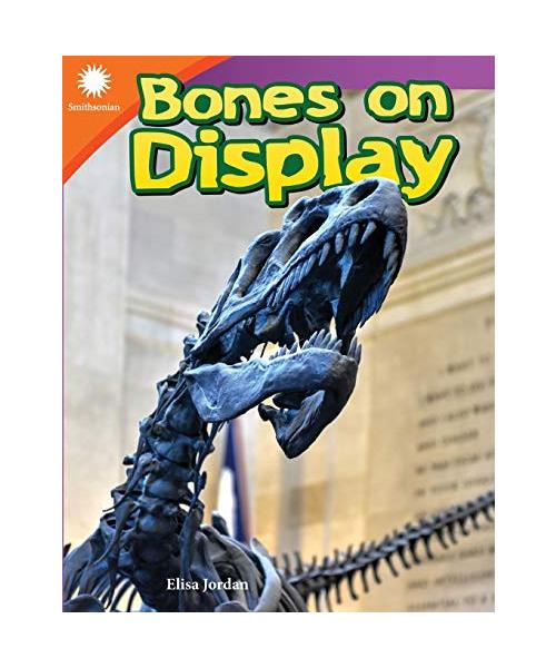 Bones on Display